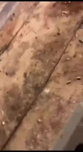 Footage of Missle fired at Israel from a different angle