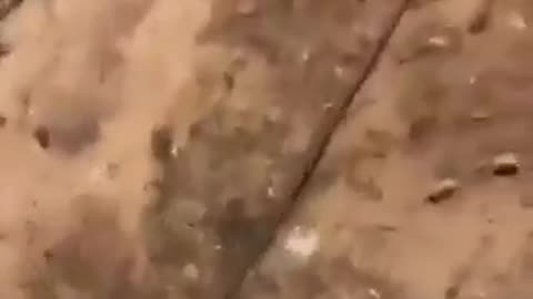 Footage of Missle fired at Israel from a different angle