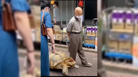 Old Man have very old friend a Turtle