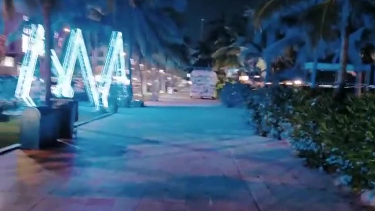 fatty demon pig - 2024 - August 18th part 003 - Danang