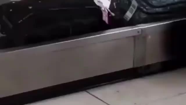 When you can't afford a plane ticket