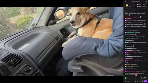 2023-06-28 (7bis.1) - Rangement + concert au village - Twitch Decheterie (version avec chat)