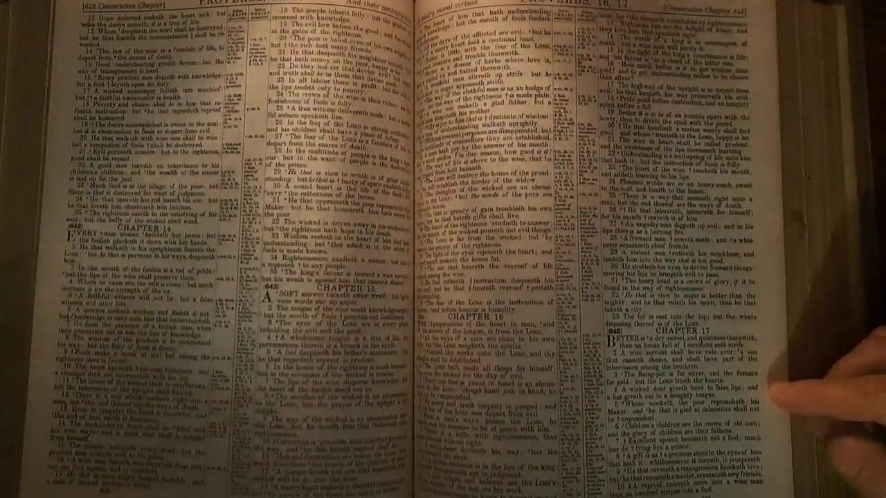 Proverbs 17