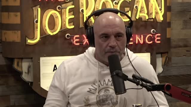 Joe Rogan: ‘How Many People Are Doing it Under the Guise of I’m an LGBTQ Educator!’