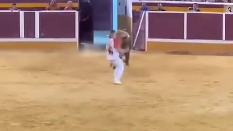 Bullfighting