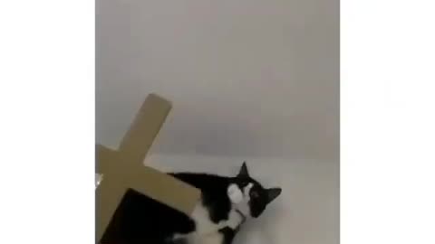 The demon slept