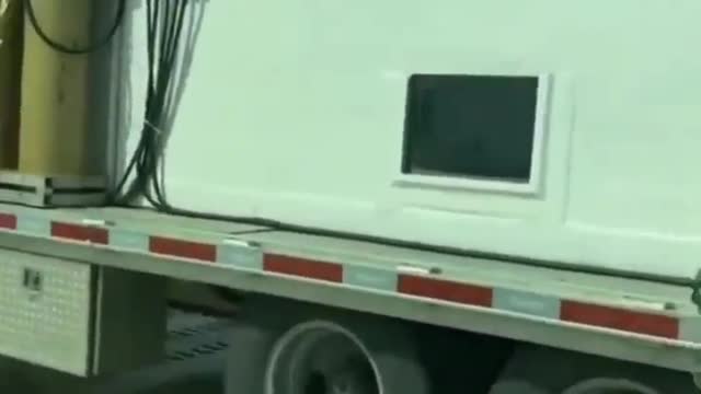 street shark