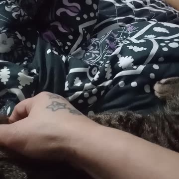 NCSWIC Happy Festivus