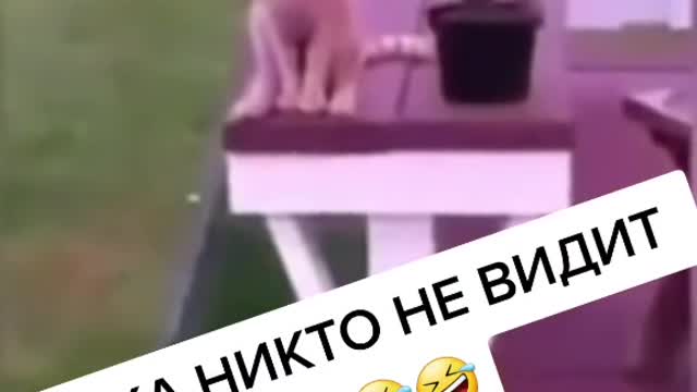 Пока никто не водит 🤣