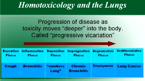 Concepts of Homotoxicology