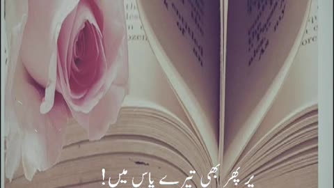 Urdu quotes