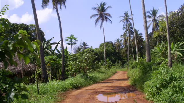 Best of Zanzibar