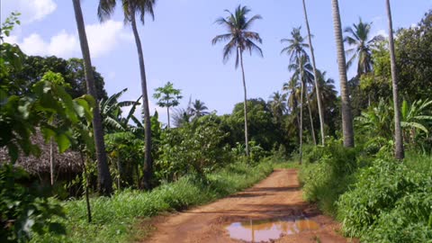 Best of Zanzibar