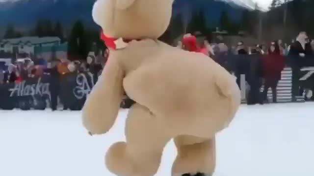 Have you ever seen a bear snowboard 🤔 Tag a friend to see this! 😂