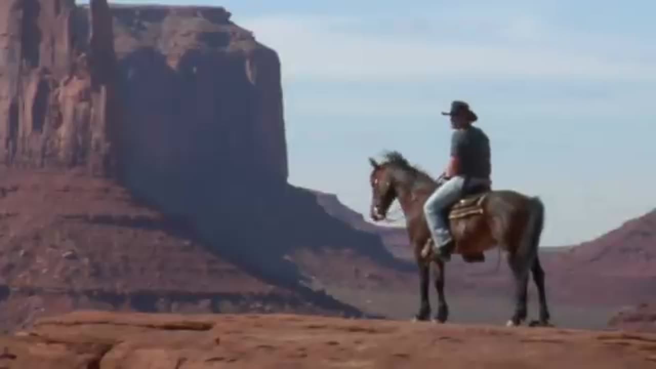Horses! Learn about horses for children