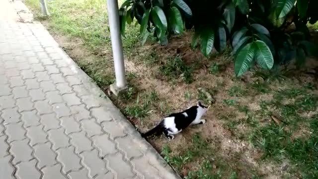 funny scare jump