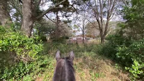 New Horse Property Tour