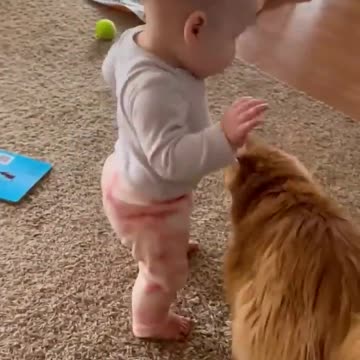 Fum time with cats,,🥰🤩❤️💘💗💗💝💓👍😘💕💚