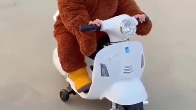 Cute baby video