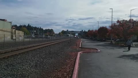 Sounder Southbound & Amtrak Cascades Northbound #2 in Kent, WA on 10/13/2023