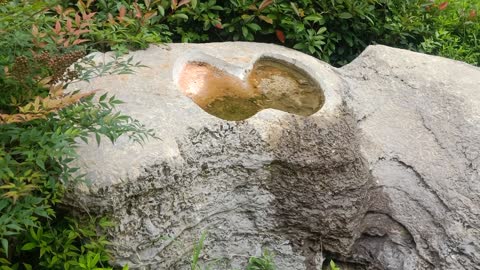 What are the two pits on this rock for?