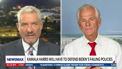 Peter Navarro: Kamala Harris 'has done damnable things' to this country