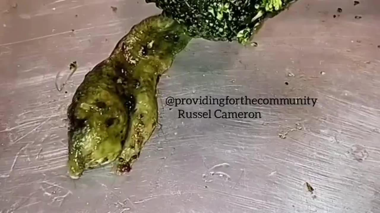 Lab Grown Broccoli 🤢