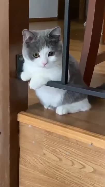 Puppy Hole In Sand, When The Ocean 🌊 Again