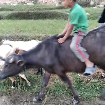 Most funny vedio of year 2021😂😂 || Comedy vedio of the year