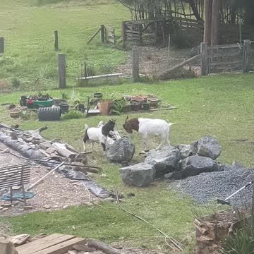 Whatever you can do I can do better