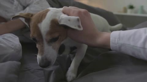 Pov of unrecognizable man waking up in morning watching his girlfriend still sleeping