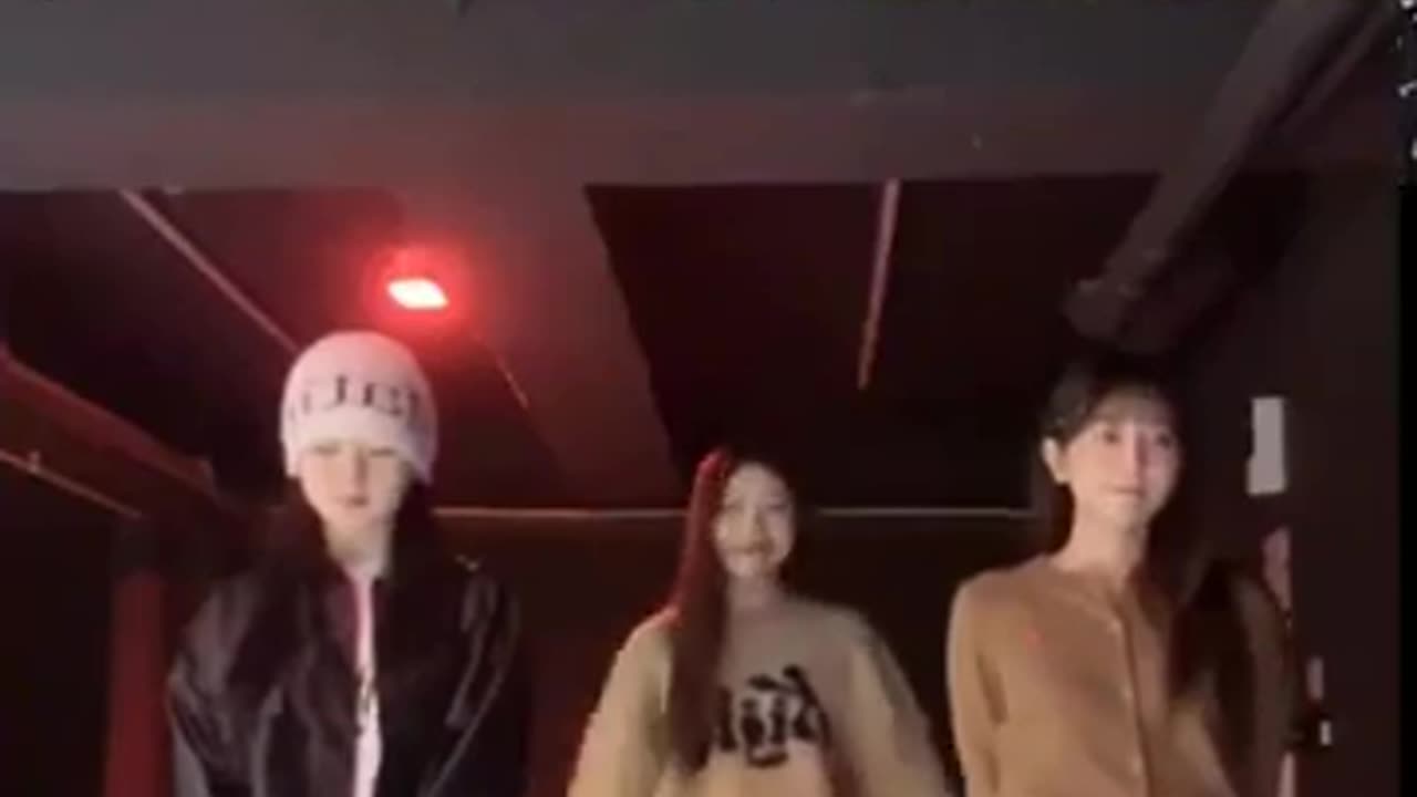 They are cute