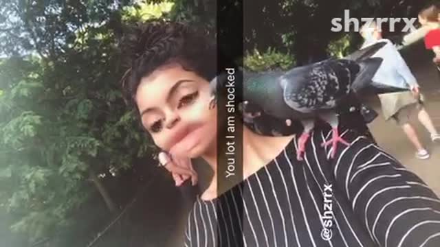 Collab copyright protection - pigeon lands on girls shoulder