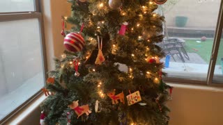 Figgy Christmas