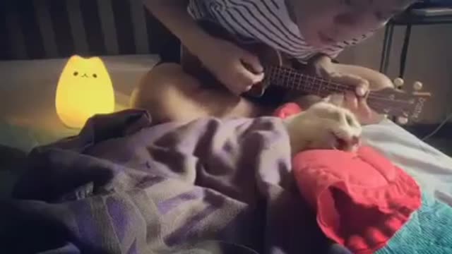 Este hombre le canta una última canción a su gato antes de morir