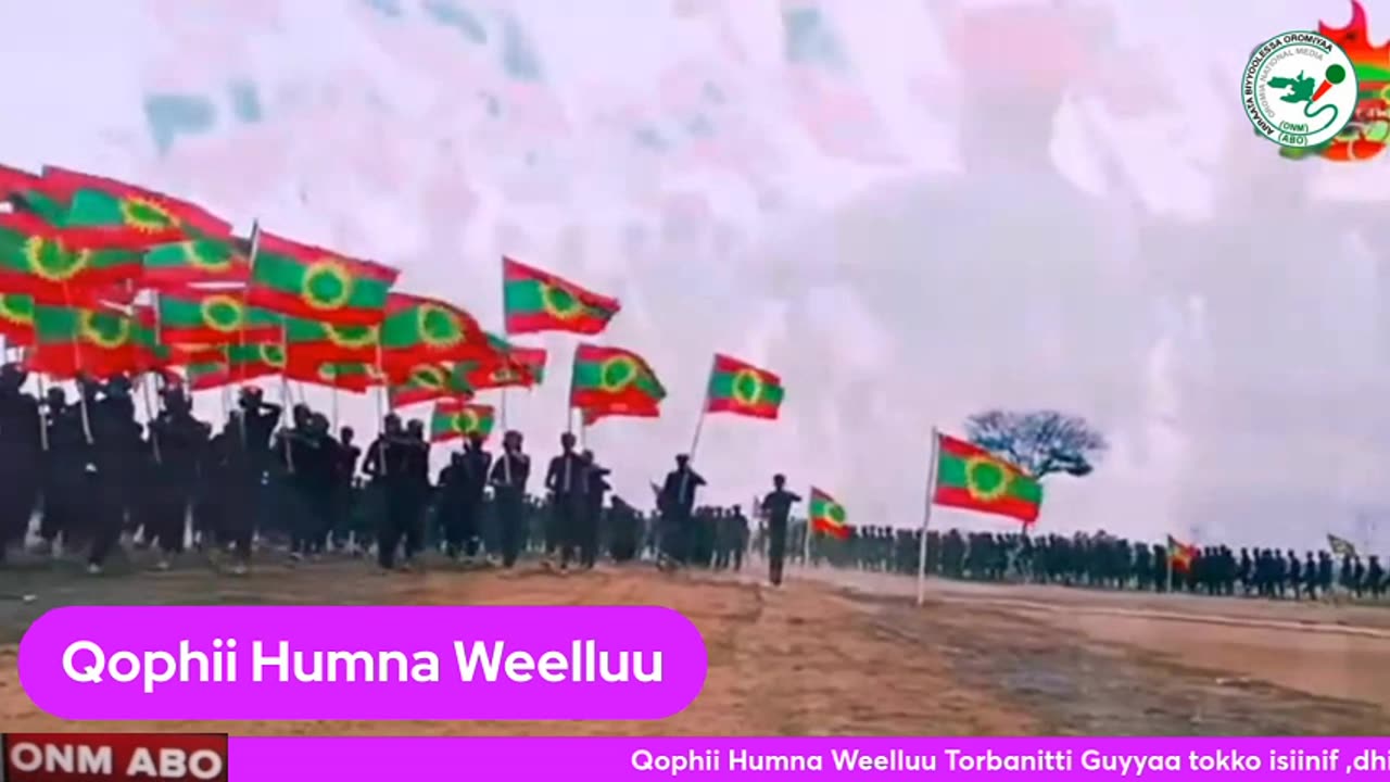 Qophii Humna Weelluu ONM-ABO Hagayya 20-2024 itti dhiyaadhaa!