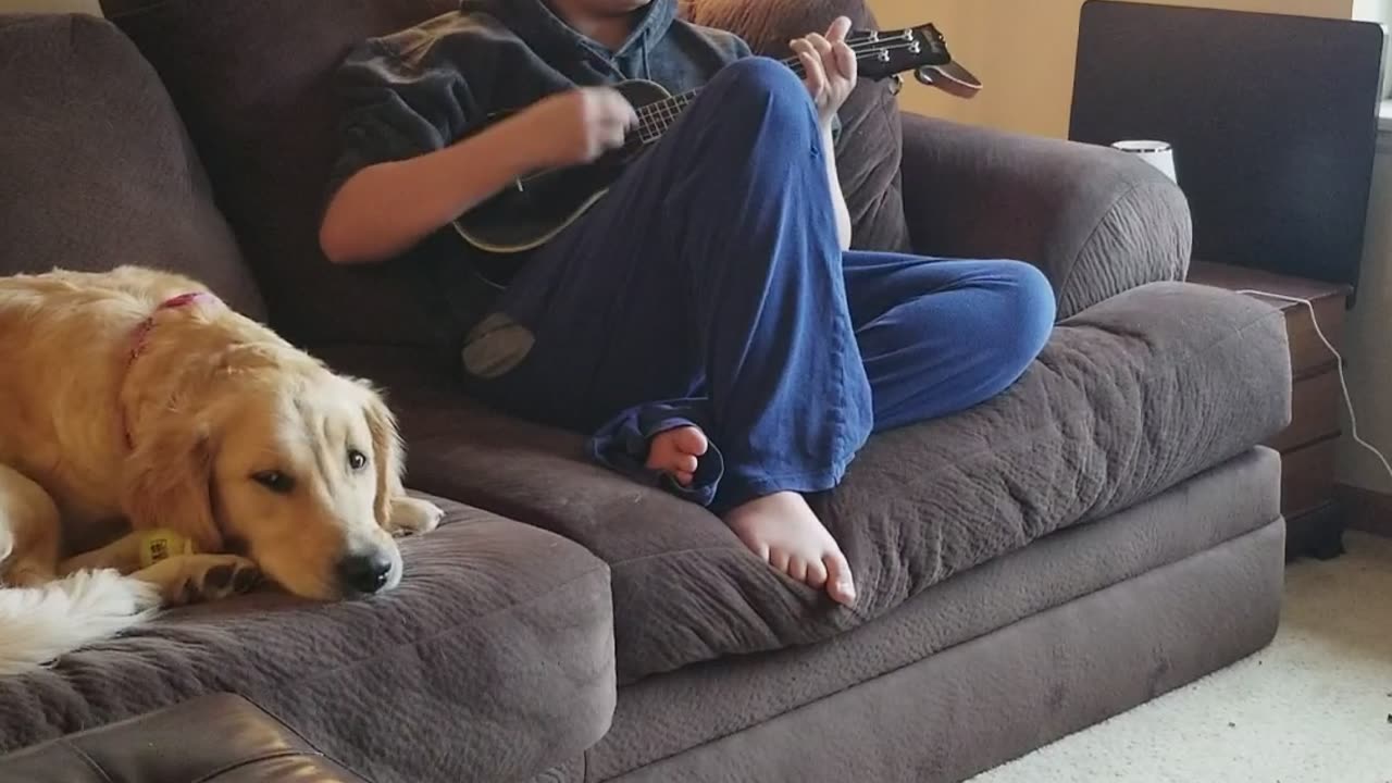 Matt Ukulele