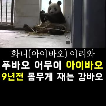 PandaTV