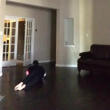 .Reptiles In Disguise! (VINE) 2016!