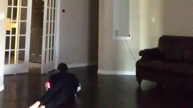 .Reptiles In Disguise! (VINE) 2016!