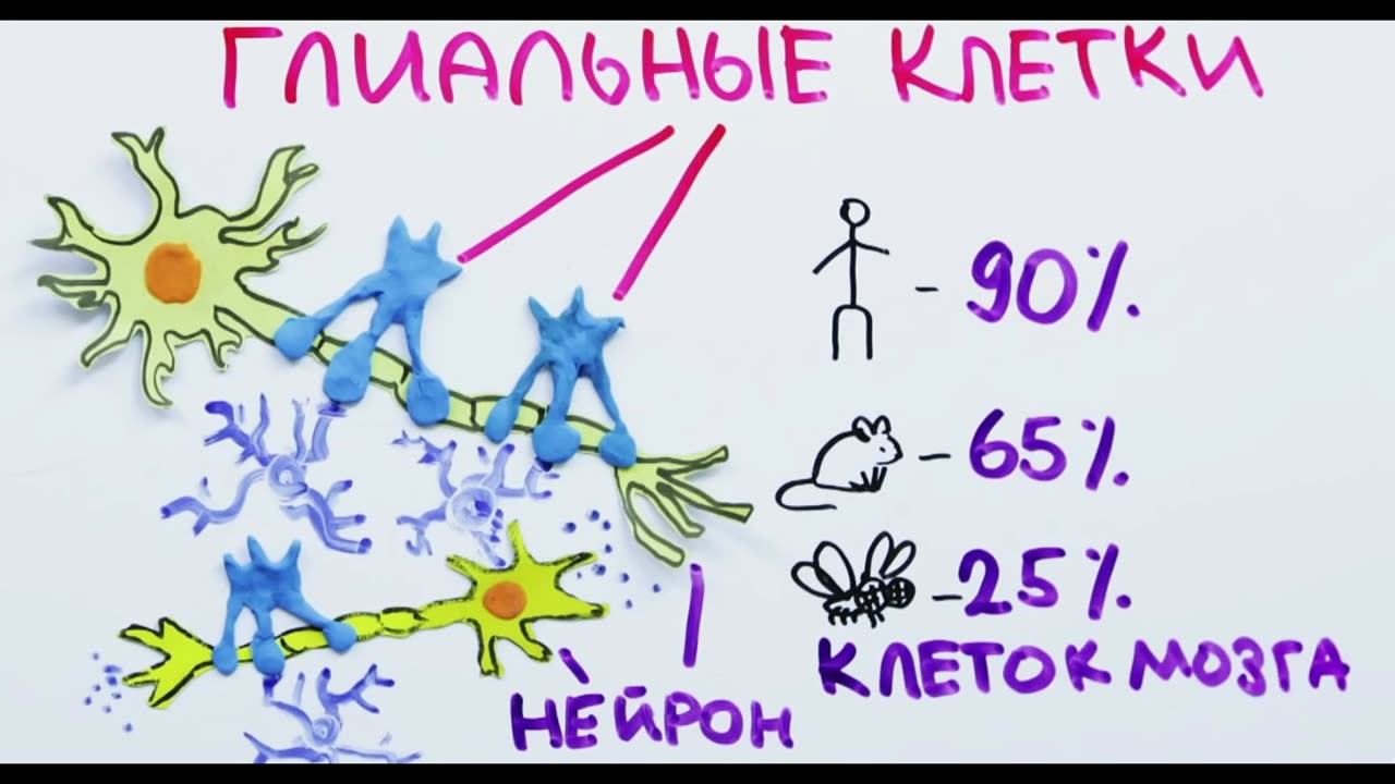 Модели абсолютной оценки бизнеса