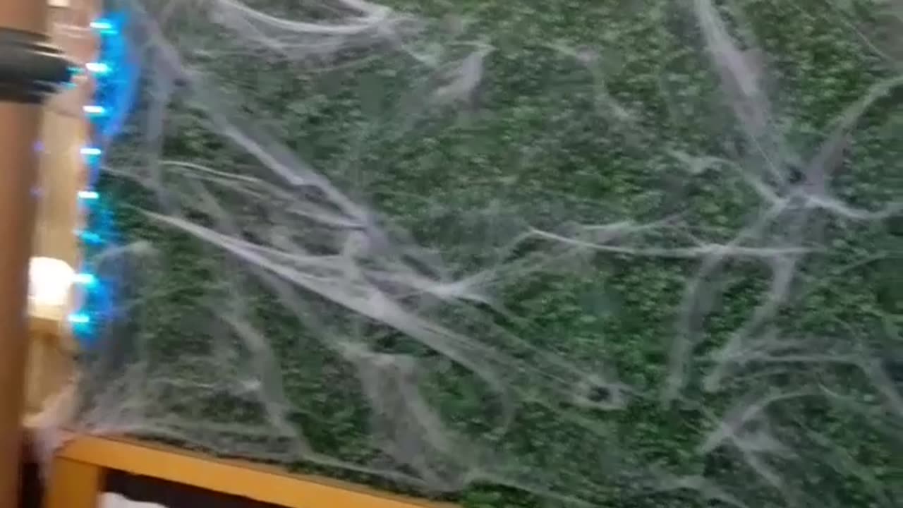 Grass & Cobwebs. Part 4.