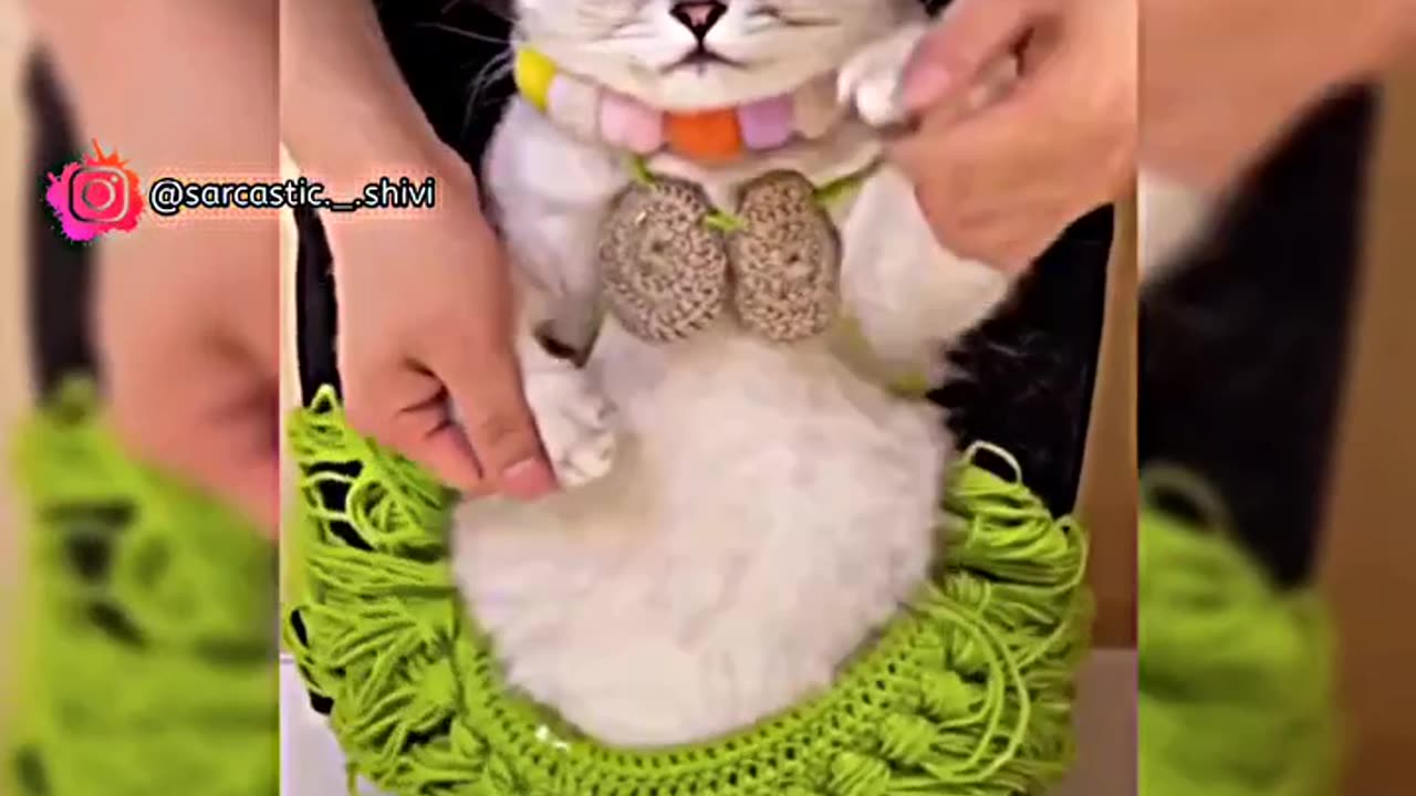 watch the last part 😂 omg so funny😂😆