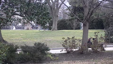 0679USCG00SEDriveExit_2021-01-06_09h58min36s190ms.mp4