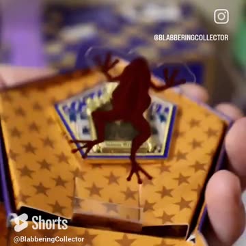Who Will I Get? Universal Studios Released A Chocolate Frog Mystery Pin #wizardingworld #harrypotter