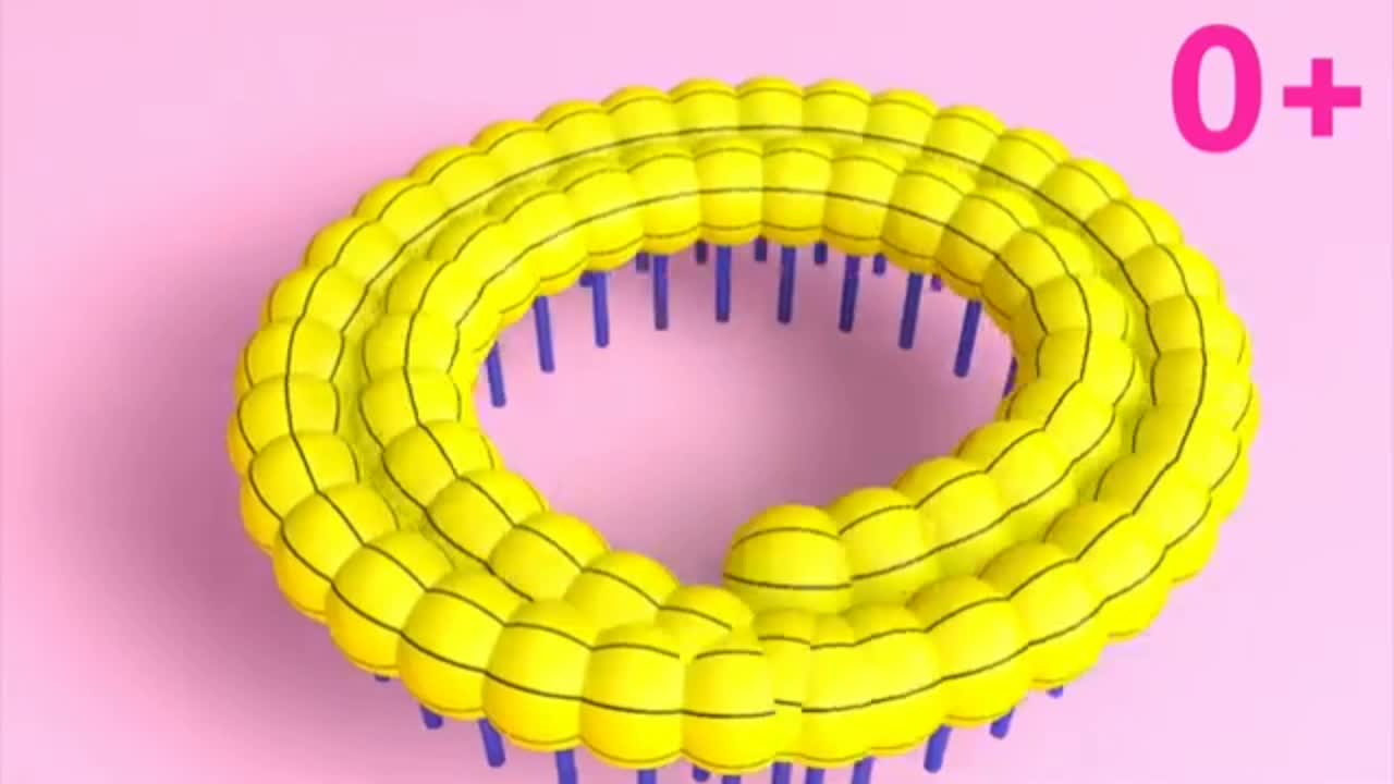 Learn colors in English fun with 3D rabbits