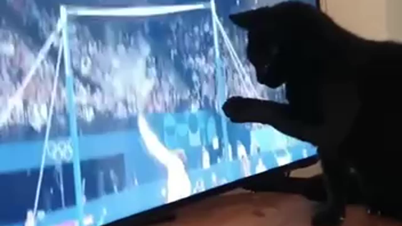 Cat ends a Canadian gymnastics Olympic career in one grab