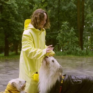 Baby Dogs - Cute and Funny Dog Videos Compilation