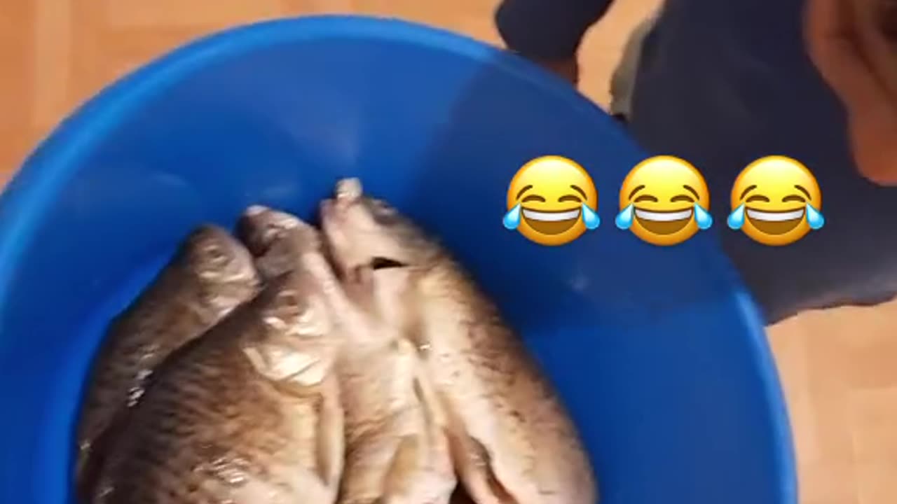 КАРАКУДА БЕ ДЯДО