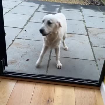 He thinks the door is still closed